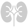 Kidney